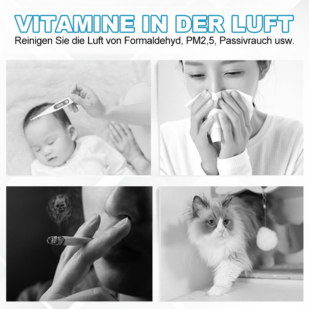FrischLuft - Luftreiniger Gegen Allergene, Pollen, Staub Und Krankheitserreger