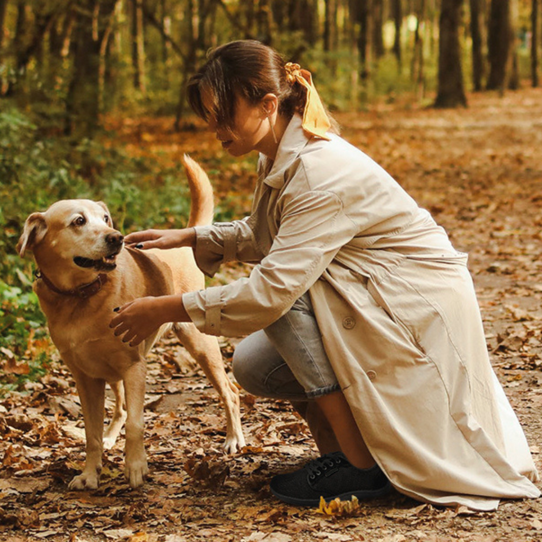 Freigeist Barfußschuhe Canvas
